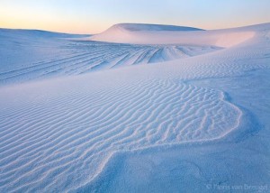 DESERT BLANC