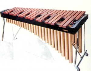 xylophone (1)