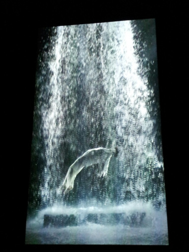 BILL VIOLA expose au Grand Palais